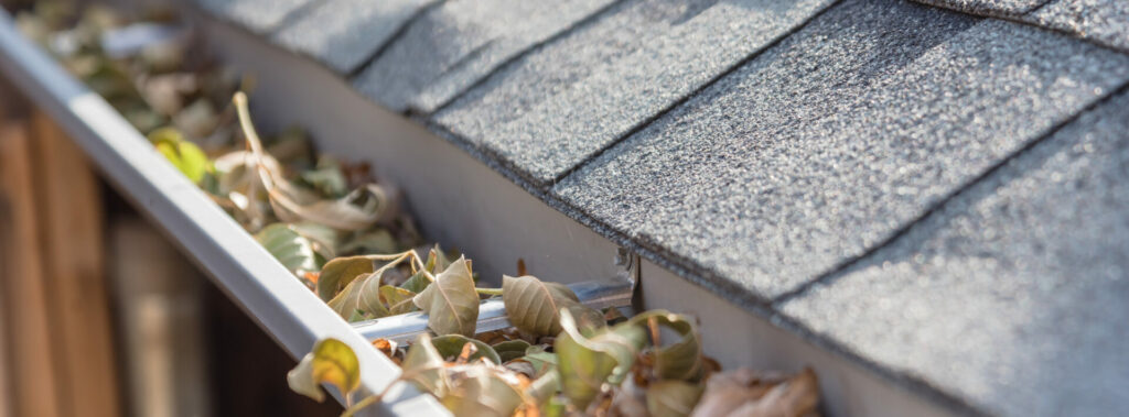 Little Known Benefits of Regular Gutter Cleaning