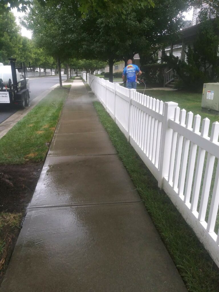 Fence Cleaning 768x1024 